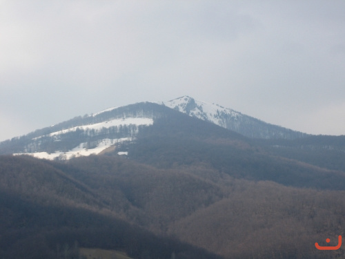 Crnogora